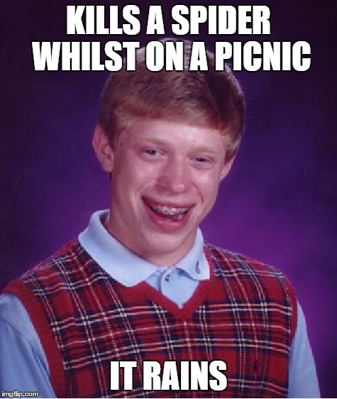 Bad Luck Brian Meme | KILLS A SPIDER WHILST ON A PICNIC IT RAINS | image tagged in memes,bad luck brian | made w/ Imgflip meme maker
