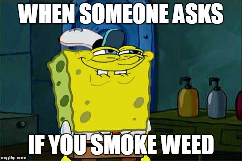 Don't You Squidward Meme | WHEN SOMEONE ASKS; IF YOU SMOKE WEED | image tagged in memes,dont you squidward | made w/ Imgflip meme maker