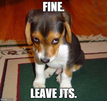 Sad puppy | FINE. LEAVE JTS. | image tagged in sad puppy | made w/ Imgflip meme maker