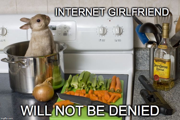 Text me? Maybe? |  INTERNET GIRLFRIEND; WILL NOT BE DENIED | image tagged in fatal attraction,denied,rabbit in pot | made w/ Imgflip meme maker