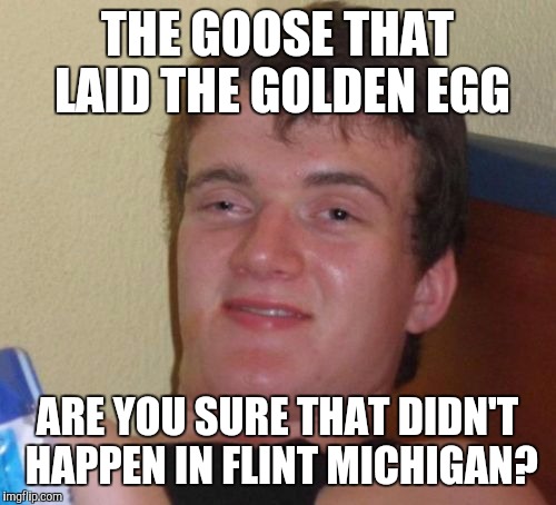 10 Guy Meme | THE GOOSE THAT LAID THE GOLDEN EGG; ARE YOU SURE THAT DIDN'T HAPPEN IN FLINT MICHIGAN? | image tagged in memes,10 guy | made w/ Imgflip meme maker