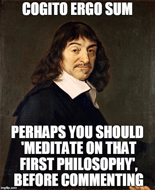 ‎COGITO ERGO SUM PERHAPS YOU SHOULD 'MEDITATE ON THAT FIRST PHILOSOPHY', BEFORE COMMENTING | image tagged in ren descartes | made w/ Imgflip meme maker