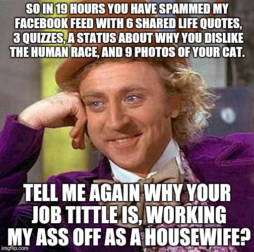 Creepy Condescending Wonka Meme | SO IN 19 HOURS YOU HAVE SPAMMED MY FACEBOOK FEED WITH 6 SHARED LIFE QUOTES, 3 QUIZZES, A STATUS ABOUT WHY YOU DISLIKE THE HUMAN RACE, AND 9 PHOTOS OF YOUR CAT. TELL ME AGAIN WHY YOUR JOB TITTLE IS, WORKING MY ASS OFF AS A HOUSEWIFE? | image tagged in memes,creepy condescending wonka | made w/ Imgflip meme maker