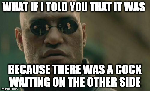 Matrix Morpheus Meme | WHAT IF I TOLD YOU THAT IT WAS BECAUSE THERE WAS A COCK WAITING ON THE OTHER SIDE | image tagged in memes,matrix morpheus | made w/ Imgflip meme maker