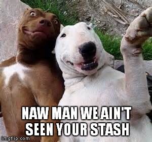 I don't believe them | NAW MAN WE AIN'T SEEN YOUR STASH | image tagged in meme,funny dogs | made w/ Imgflip meme maker