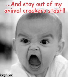 Angry Baby Meme | ...And stay out of my animal crackers stash!! | image tagged in memes,angry baby | made w/ Imgflip meme maker