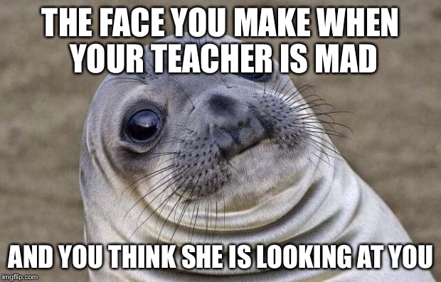 Awkward Moment Sealion | THE FACE YOU MAKE WHEN YOUR TEACHER IS MAD; AND YOU THINK SHE IS LOOKING AT YOU | image tagged in memes,awkward moment sealion | made w/ Imgflip meme maker