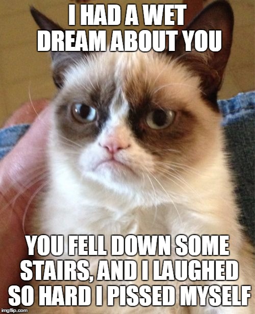 Grumpy Cat | I HAD A WET DREAM ABOUT YOU; YOU FELL DOWN SOME STAIRS, AND I LAUGHED SO HARD I PISSED MYSELF | image tagged in memes,grumpy cat | made w/ Imgflip meme maker