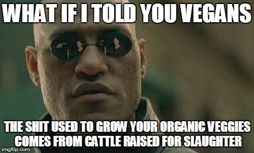 When Vegans Act High and Mighty, Show Them This Fact | WHAT IF I TOLD YOU VEGANS; THE SHIT USED TO GROW YOUR ORGANIC VEGGIES COMES FROM CATTLE RAISED FOR SLAUGHTER | image tagged in memes,matrix morpheus,vegan | made w/ Imgflip meme maker