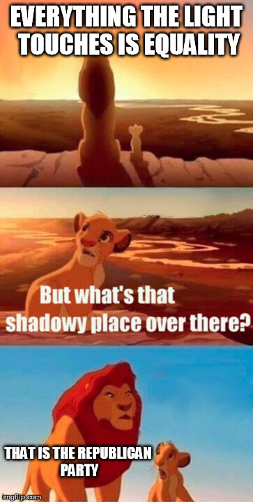 Simba Shadowy Place | EVERYTHING THE LIGHT TOUCHES IS EQUALITY; THAT IS THE REPUBLICAN PARTY | image tagged in memes,simba shadowy place | made w/ Imgflip meme maker