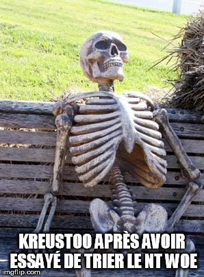 Waiting Skeleton Meme | KREUSTOO APRÈS AVOIR ESSAYÉ DE TRIER LE NT WOE | image tagged in memes,waiting skeleton | made w/ Imgflip meme maker