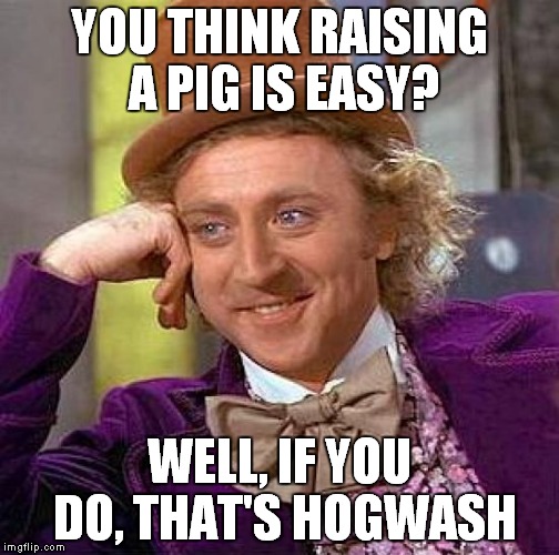 Creepy Condescending Wonka Meme | YOU THINK RAISING A PIG IS EASY? WELL, IF YOU DO, THAT'S HOGWASH | image tagged in memes,creepy condescending wonka | made w/ Imgflip meme maker