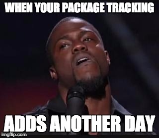 Waiting at home so excited and then... |  WHEN YOUR PACKAGE TRACKING; ADDS ANOTHER DAY | image tagged in kevin hart suspicious look | made w/ Imgflip meme maker