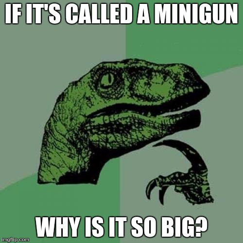Philosoraptor | IF IT'S CALLED A MINIGUN; WHY IS IT SO BIG? | image tagged in memes,philosoraptor | made w/ Imgflip meme maker