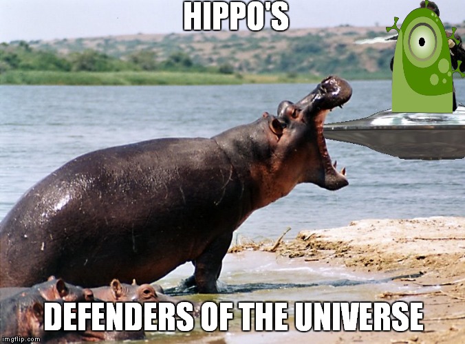 HIPPO'S DEFENDERS OF THE UNIVERSE | made w/ Imgflip meme maker