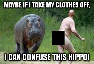 Hippo vs. Naked Guy | MAYBE IF I TAKE MY CLOTHES OFF, I CAN CONFUSE THIS HIPPO! | image tagged in hippo vs naked guy | made w/ Imgflip meme maker