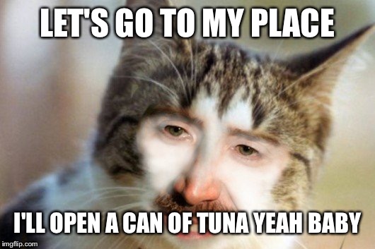 Sick kitty | LET'S GO TO MY PLACE; I'LL OPEN A CAN OF TUNA YEAH BABY | image tagged in sick kitty,funny cat memes | made w/ Imgflip meme maker