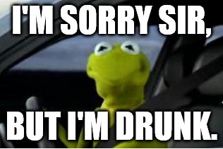 Kermit the frog | I'M SORRY SIR, BUT I'M DRUNK. | image tagged in kermit the frog | made w/ Imgflip meme maker