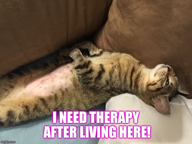 In need of therapy ! | I NEED THERAPY AFTER LIVING HERE! | image tagged in family,advice,pets,drinking | made w/ Imgflip meme maker
