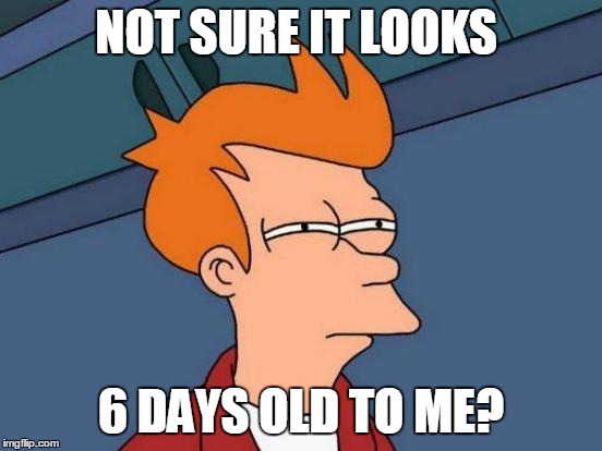 Futurama Fry Meme | NOT SURE IT LOOKS 6 DAYS OLD TO ME? | image tagged in memes,futurama fry | made w/ Imgflip meme maker