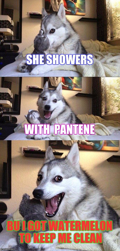 Bad Pun Dog Meme | SHE SHOWERS; WITH  PANTENE; BU I GOT WATERMELON TO KEEP ME CLEAN | image tagged in memes,bad pun dog | made w/ Imgflip meme maker