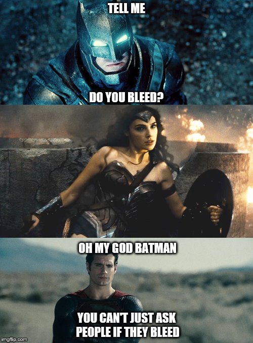 Oh my god Karen - Batman v Superman edition | TELL ME; DO YOU BLEED? OH MY GOD BATMAN; YOU CAN'T JUST ASK PEOPLE IF THEY BLEED | image tagged in batman v superman | made w/ Imgflip meme maker