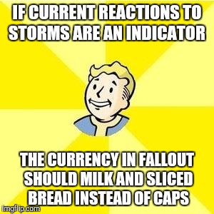 FALLOUT 3 | IF CURRENT REACTIONS TO STORMS ARE AN INDICATOR; THE CURRENCY IN FALLOUT SHOULD MILK AND SLICED BREAD INSTEAD OF CAPS | image tagged in fallout 3 | made w/ Imgflip meme maker