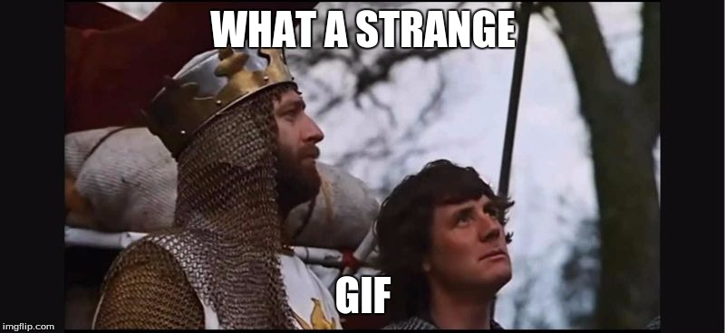 what a strange person | WHAT A STRANGE GIF | image tagged in what a strange person | made w/ Imgflip meme maker