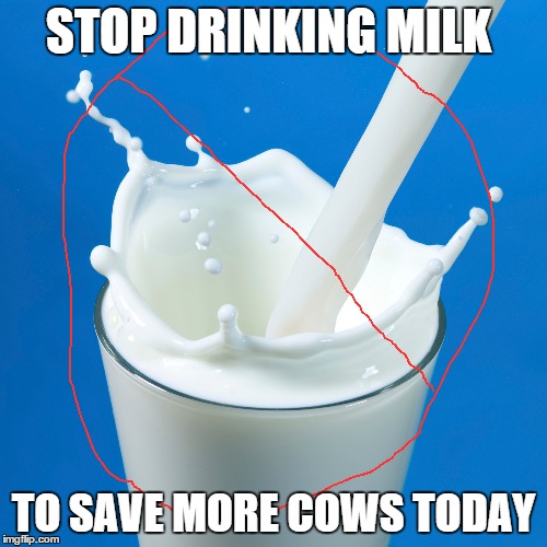 Save De Cows | STOP DRINKING MILK; TO SAVE MORE COWS TODAY | image tagged in memes | made w/ Imgflip meme maker