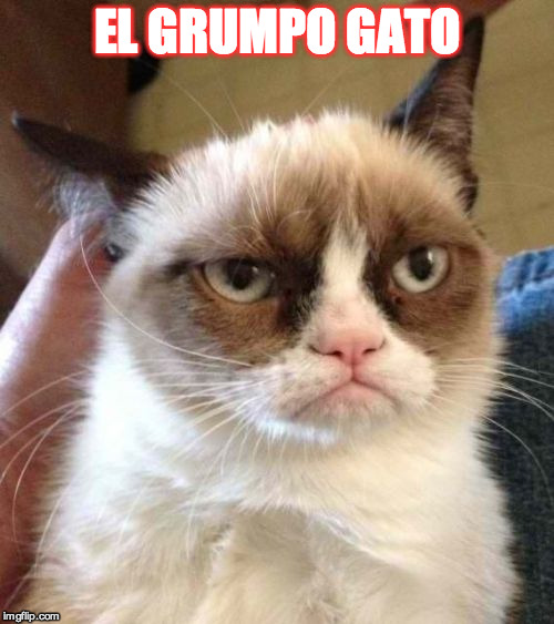 Grumpy Cat Reverse Meme | EL GRUMPO GATO | image tagged in memes,grumpy cat reverse,grumpy cat | made w/ Imgflip meme maker