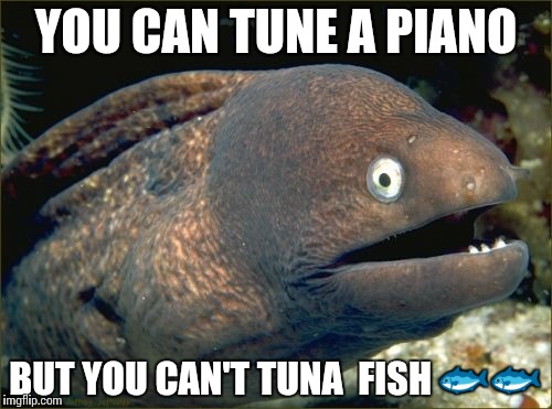 Bad Joke Eel Meme | YOU CAN TUNE A PIANO; BUT YOU CAN'T TUNA  FISH 🐟🐟 | image tagged in memes,bad joke eel | made w/ Imgflip meme maker