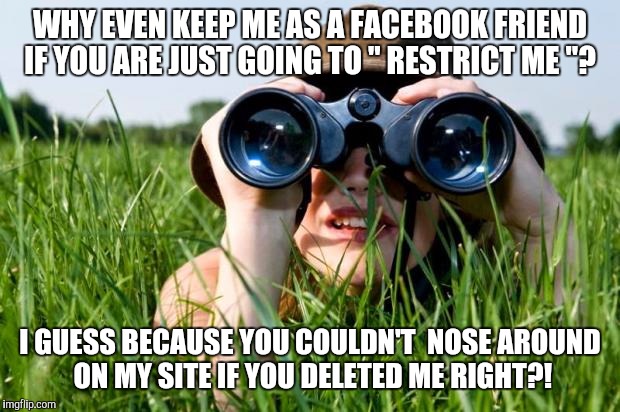 stalkergirl | WHY EVEN KEEP ME AS A FACEBOOK FRIEND IF YOU ARE JUST GOING TO " RESTRICT ME "? I GUESS BECAUSE YOU COULDN'T  NOSE AROUND ON MY SITE IF YOU DELETED ME RIGHT?! | image tagged in stalkergirl | made w/ Imgflip meme maker