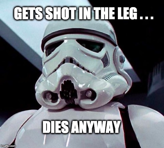Dies Anyway | GETS SHOT IN THE LEG . . . DIES ANYWAY | image tagged in funny,truth,true,stormtrooper | made w/ Imgflip meme maker