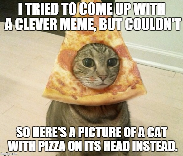 I TRIED TO COME UP WITH A CLEVER MEME, BUT COULDN'T; SO HERE'S A PICTURE OF A CAT WITH PIZZA ON ITS HEAD INSTEAD. | image tagged in pizza cat | made w/ Imgflip meme maker