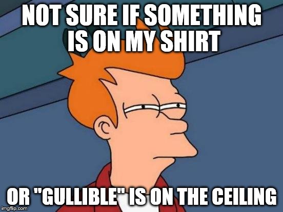 I've Had a Lot of Personal Experience | NOT SURE IF SOMETHING IS ON MY SHIRT; OR "GULLIBLE" IS ON THE CEILING | image tagged in memes,futurama fry | made w/ Imgflip meme maker