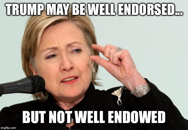 Hillary Clinton Fingers | TRUMP MAY BE WELL ENDORSED... BUT NOT WELL ENDOWED | image tagged in hillary clinton fingers | made w/ Imgflip meme maker