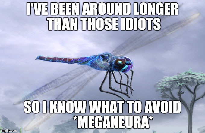 I'VE BEEN AROUND LONGER THAN THOSE IDIOTS SO I KNOW WHAT TO AVOID       
*MEGANEURA* | made w/ Imgflip meme maker