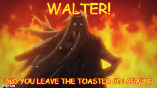 Oops | WALTER! DID YOU LEAVE THE TOASTER ON AGAIN? | image tagged in integra hellsing fire,toaster,accident,funny meme | made w/ Imgflip meme maker
