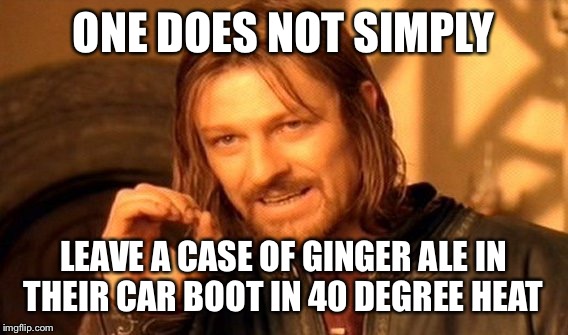 One Does Not Simply | ONE DOES NOT SIMPLY; LEAVE A CASE OF GINGER ALE IN THEIR CAR BOOT IN 40 DEGREE HEAT | image tagged in memes,one does not simply | made w/ Imgflip meme maker