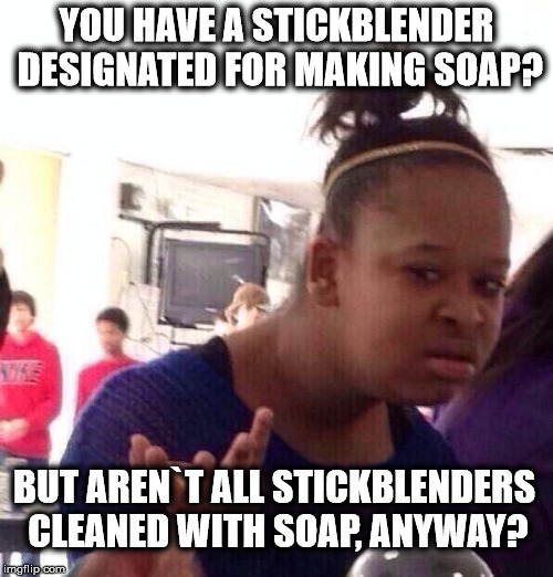 Black Girl Wat Meme | YOU HAVE A STICKBLENDER DESIGNATED FOR MAKING SOAP? BUT AREN`T ALL STICKBLENDERS CLEANED WITH SOAP, ANYWAY? | image tagged in memes,black girl wat | made w/ Imgflip meme maker