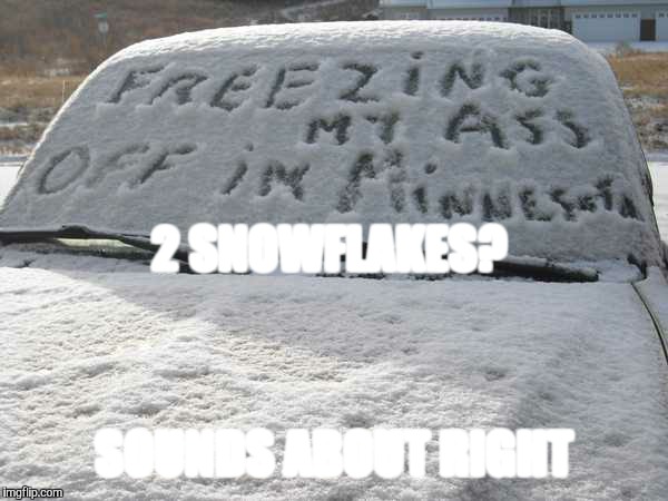 SOUNDS ABOUT RIGHT 2 SNOWFLAKES? | made w/ Imgflip meme maker