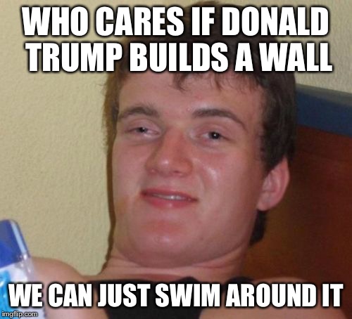 10 Guy | WHO CARES IF DONALD TRUMP BUILDS A WALL; WE CAN JUST SWIM AROUND IT | image tagged in memes,10 guy | made w/ Imgflip meme maker