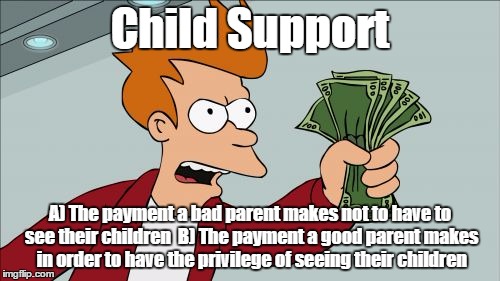 Shut Up And Take My Money Fry | Child Support; A) The payment a bad parent makes not to have to see their children

B) The payment a good parent makes in order to have the privilege of seeing their children | image tagged in memes,shut up and take my money fry | made w/ Imgflip meme maker