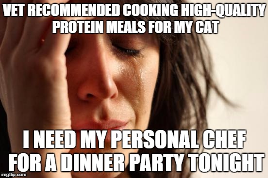 What's a rich, crazy cat lady to do? | VET RECOMMENDED COOKING HIGH-QUALITY PROTEIN MEALS FOR MY CAT; I NEED MY PERSONAL CHEF FOR A DINNER PARTY TONIGHT | image tagged in memes,first world problems,chef,cat | made w/ Imgflip meme maker