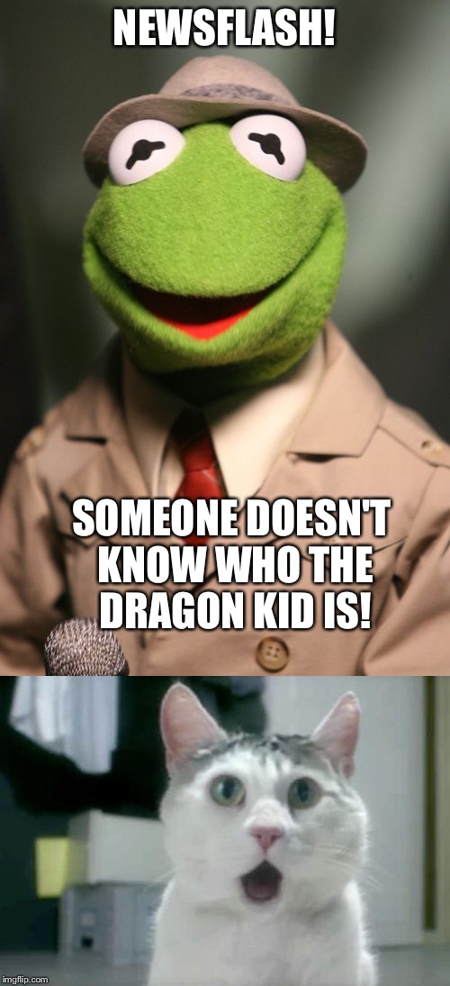 NEWSFLASH! SOMEONE DOESN'T KNOW WHO THE DRAGON KID IS! | made w/ Imgflip meme maker