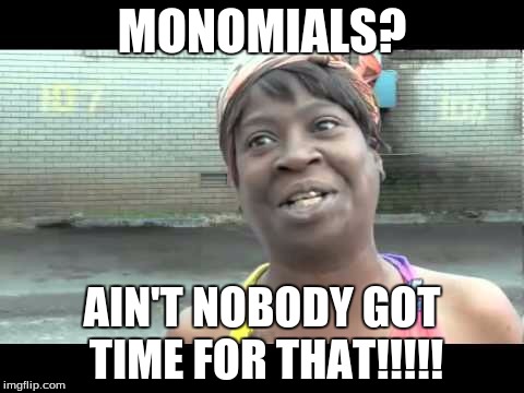 No time | MONOMIALS? AIN'T NOBODY GOT TIME FOR THAT!!!!! | image tagged in no time | made w/ Imgflip meme maker
