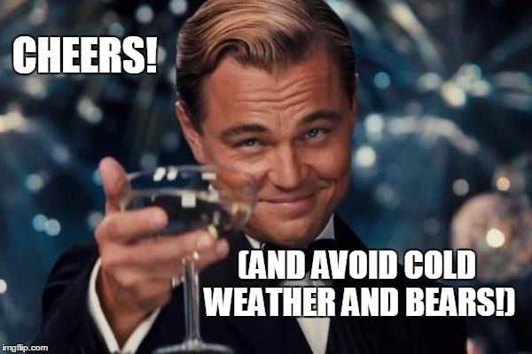 Leonardo Dicaprio Cheers | CHEERS! (AND AVOID COLD WEATHER AND BEARS!) | image tagged in memes,leonardo dicaprio cheers | made w/ Imgflip meme maker
