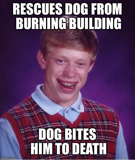 Bad Luck Brian |  RESCUES DOG FROM BURNING BUILDING; DOG BITES HIM TO DEATH | image tagged in memes,bad luck brian | made w/ Imgflip meme maker