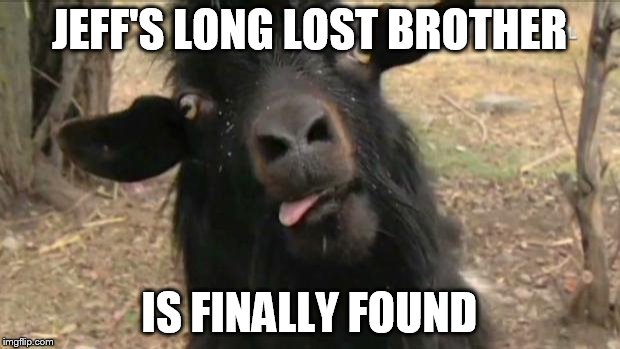goatsister | JEFF'S LONG LOST BROTHER; IS FINALLY FOUND | image tagged in goatsister | made w/ Imgflip meme maker