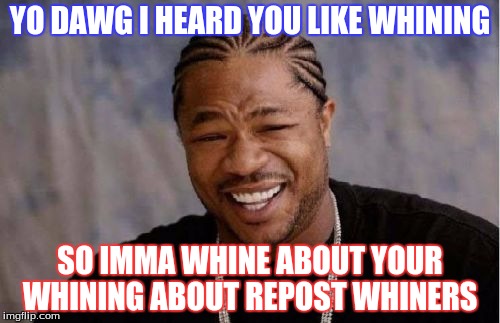 Did I do this right? | YO DAWG
I HEARD YOU LIKE WHINING; SO IMMA WHINE ABOUT YOUR WHINING ABOUT REPOST WHINERS | image tagged in memes,yo dawg heard you,repost police | made w/ Imgflip meme maker